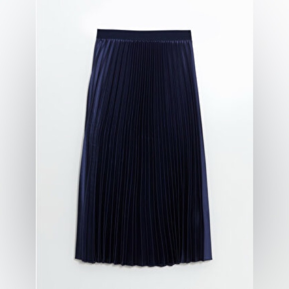 Banana Republic Navy Pleated Maxi Skirt